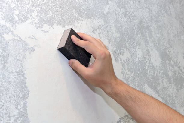 Best HVAC Mold Inspection and Cleaning  in Kendall West, FL