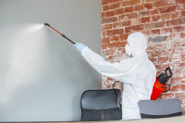 Best Asbestos and Lead Testing During Mold Inspection  in Kendall West, FL