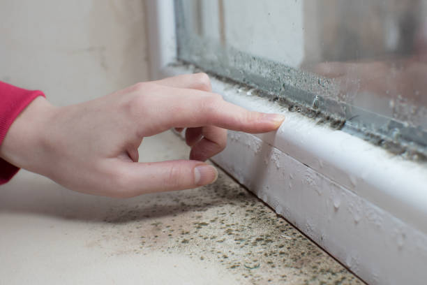 Best Mold Documentation for Insurance Claims  in Kendall West, FL