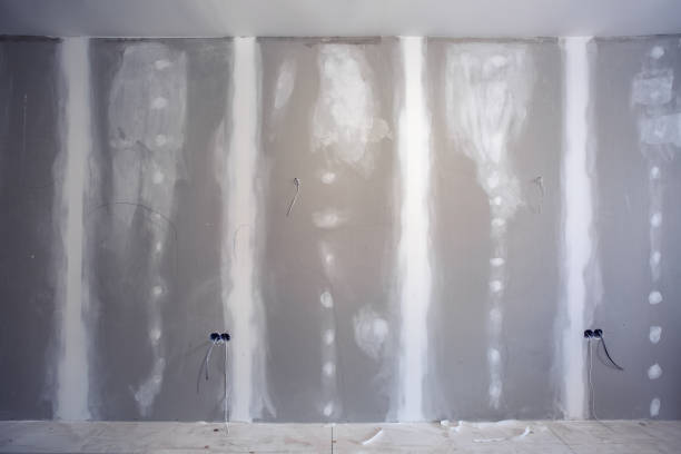 Best Biohazard Mold Removal  in Kendall West, FL
